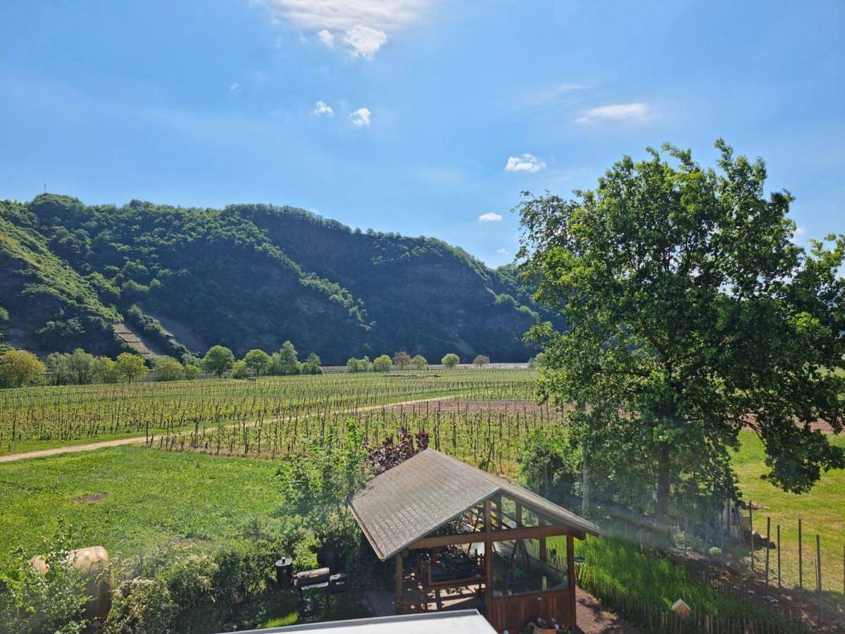 Ganze Wohnung, Ferienwohnung Arens in Piesport, Bernkastel-Kues & Umgebung