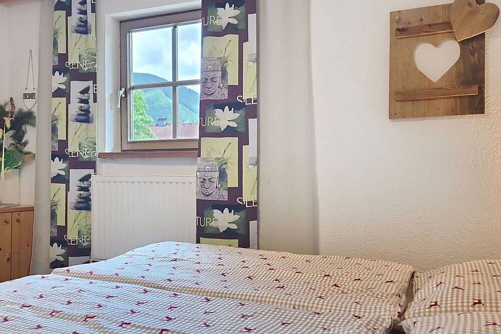 Ganze Wohnung, Schöne Wohnung für 4 Gäste mit  W-Lan, Tv, Terrasse und Haustiere erlaubt in Piesendorf, Pinzgau