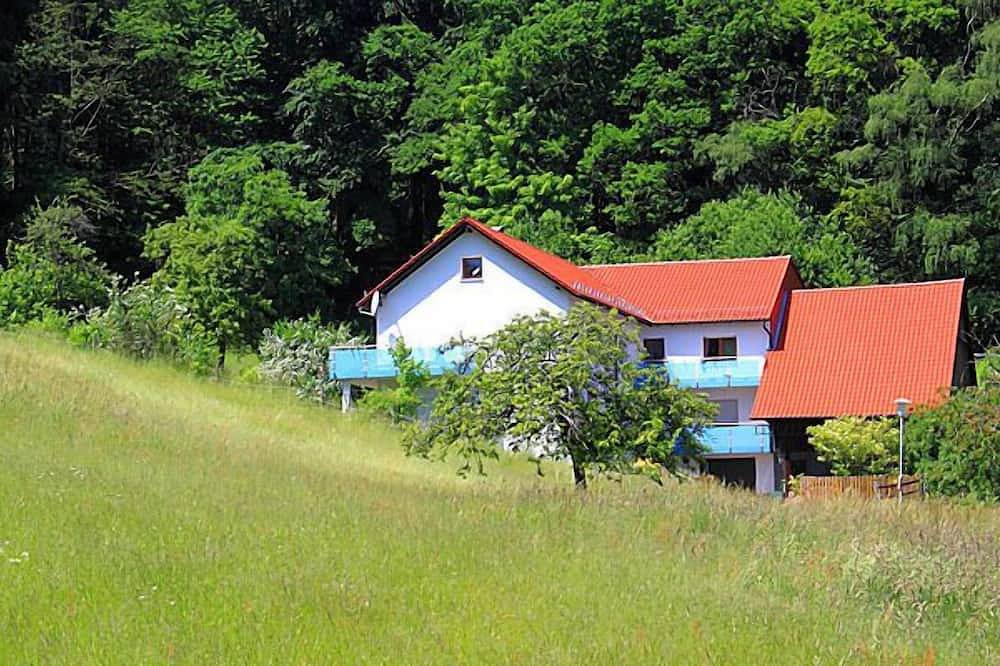 Ganze Wohnung, Ferienwohnung in idyllisch gelegener Waldrandlage mit eigener Terasse in Wald-Michelbach, Bergstraße