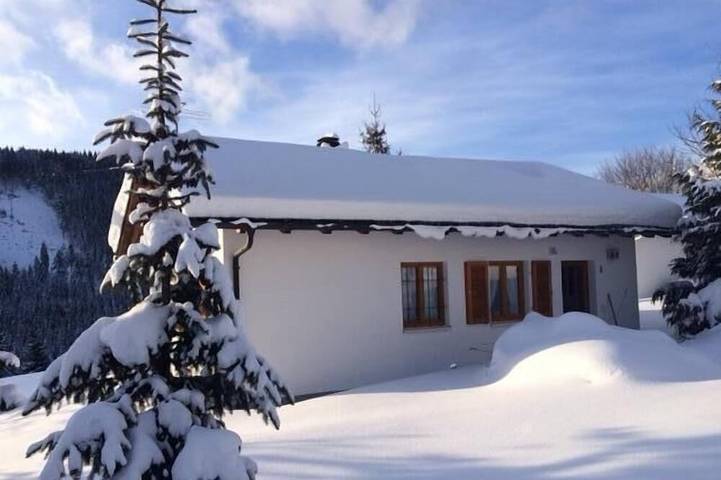 Ferienhaus für 4 Personen, mit Terrasse und Garten, mit Haustier in Feldberg