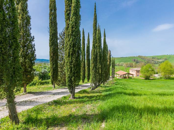 Location de vacances pour 8 personnes, avec terrasse ainsi que vue et jardin, animaux acceptés à Buonconvento - 3