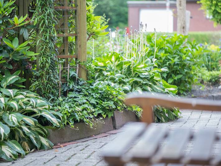 Ferienwohnung für 5 Personen, mit Garten in Leer und Umgebung - 4