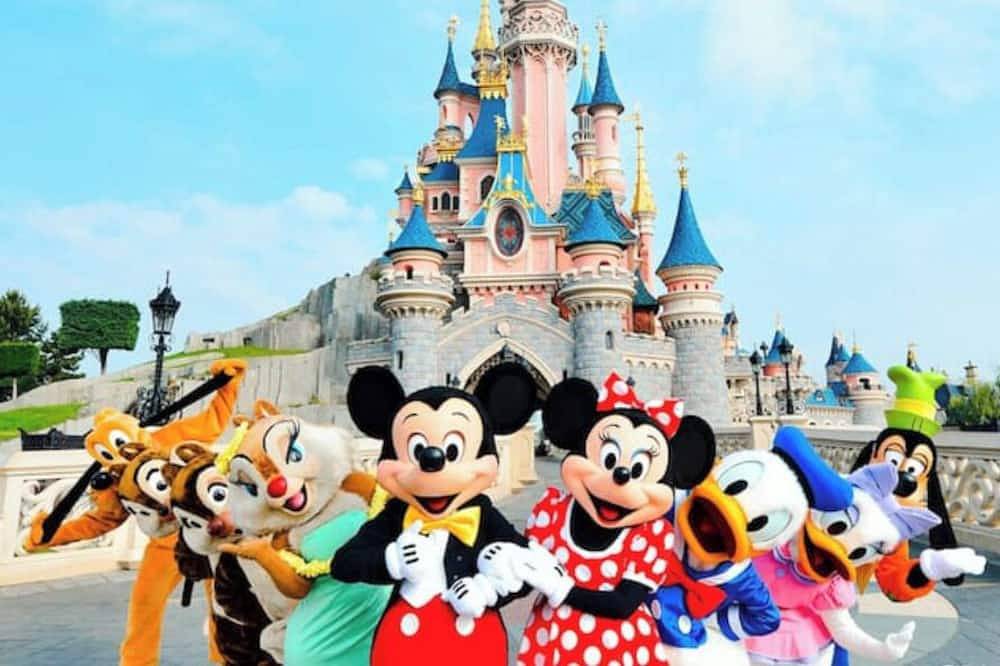 Family Disney cocooning à 10 minutes du Parc in Coupvray, Seine-et-Marne