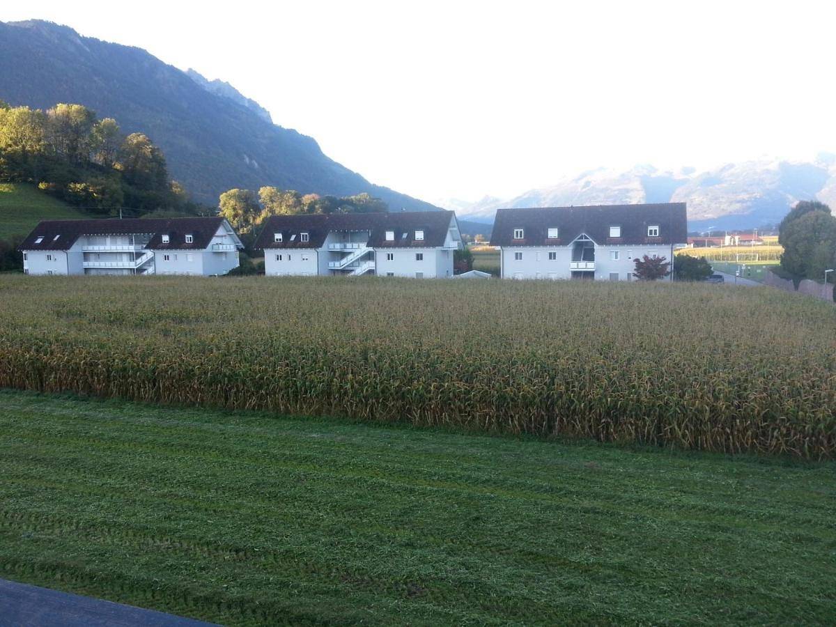 Ganze Wohnung, Appartement Feldkirch in Feldkirch, Rätikon Gebirgsgruppe