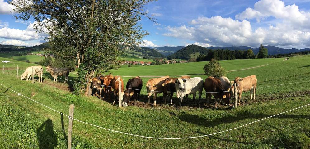 Bauernhaus für 4 Personen, mit Garten im Oberallgäu - 3