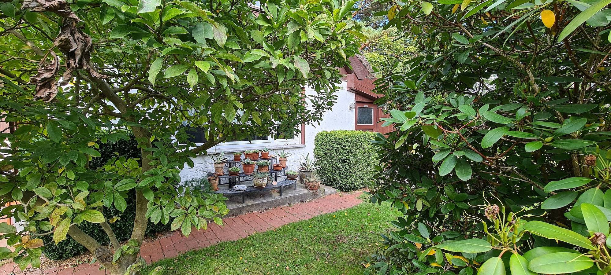 Fischlandhus in Dierhagen Strand, Dierhagen