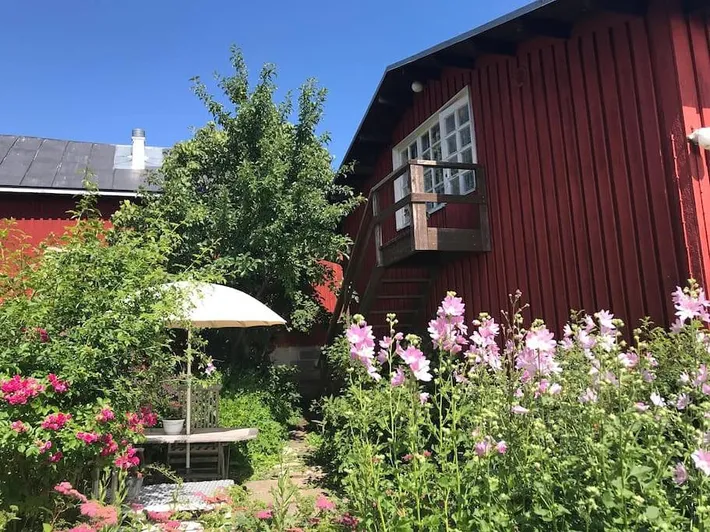 Ferienhaus für 4 Personen, mit Garten, mit Haustier - 1