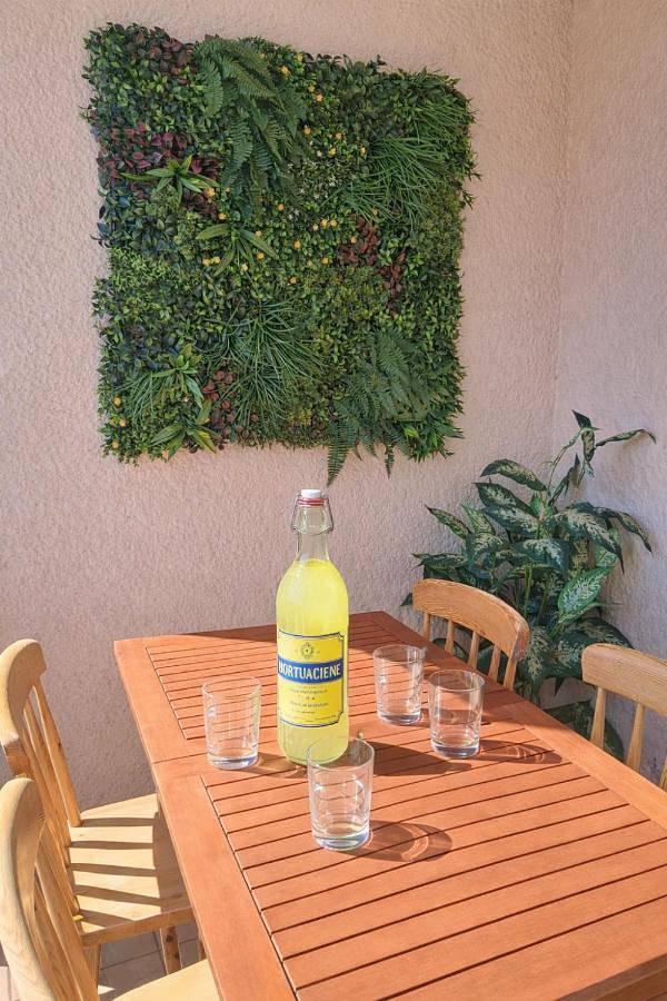 Gîte pour 4 personnes, avec terrasse et vue à Les Hôpitaux-Neufs - 3