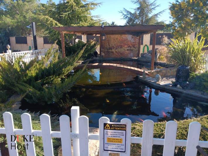 Casa rural para 17 personas, con jardín y piscina en La Alcarria - 3