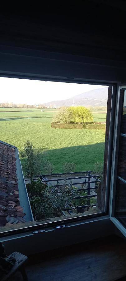 Chambre d’hôte pour 2 personnes, avec vue et terrasse dans Canton de Neuchâtel - 4