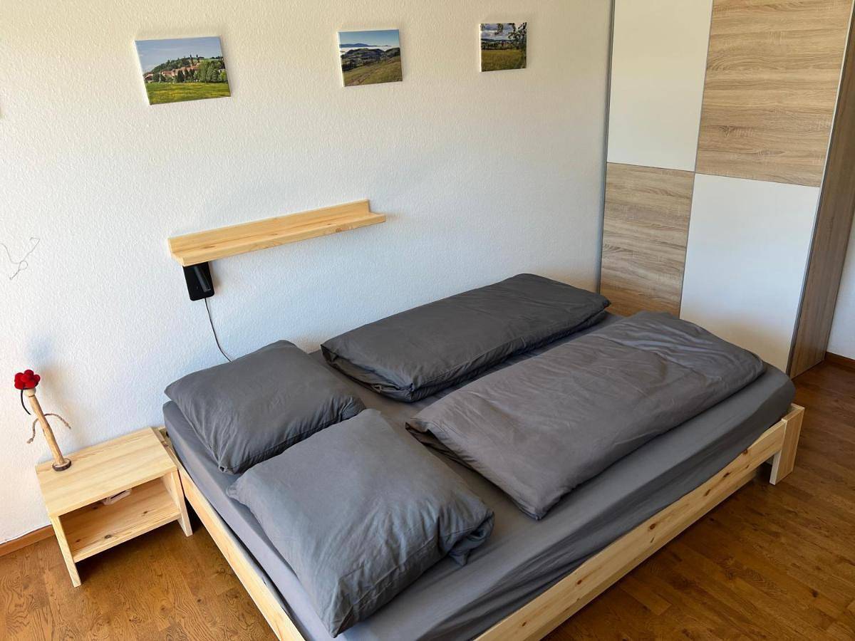 Ganze Wohnung, Apartment Malerkarle zentral in St. Peter, Südschwarzwald