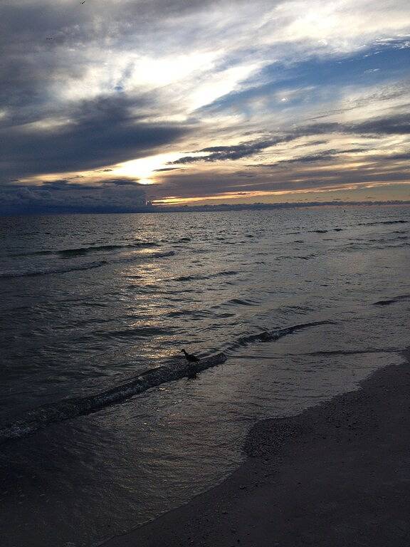 Villa for 4 people, with garden and terrace in Anna Maria Island