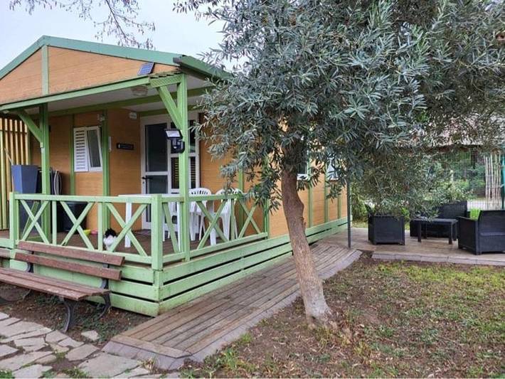 Gîte pour 5 personnes, avec jardin à Sorbo-Ocagnano - 4