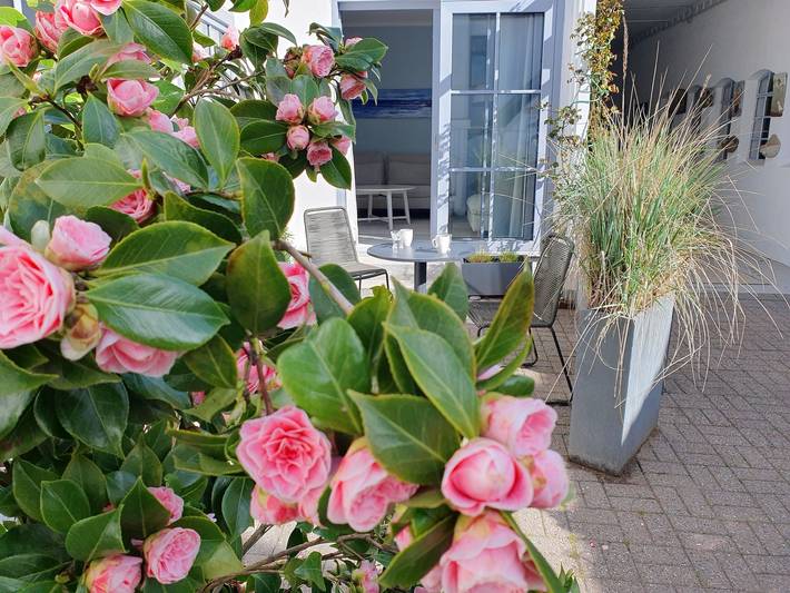Apartamento vacacional entero, Apartamento de vacaciones para 2 personas con terraza in Kappeln, Kappeln y sus alrededores