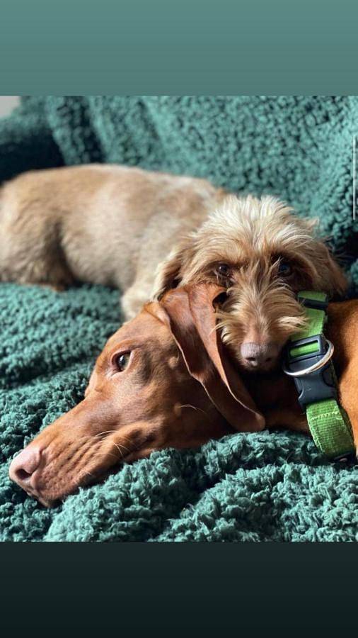Ferienhaus für 4 Personen, mit Terrasse und Ausblick in Garmisch-Partenkirchen - 2
