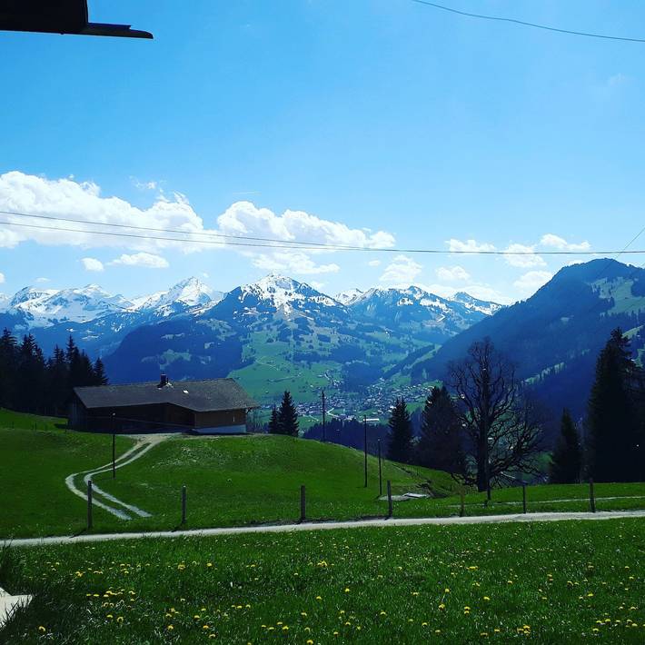 Ferienwohnung für 6 Personen, mit Terrasse und Garten, mit Haustier in Zweisimmen