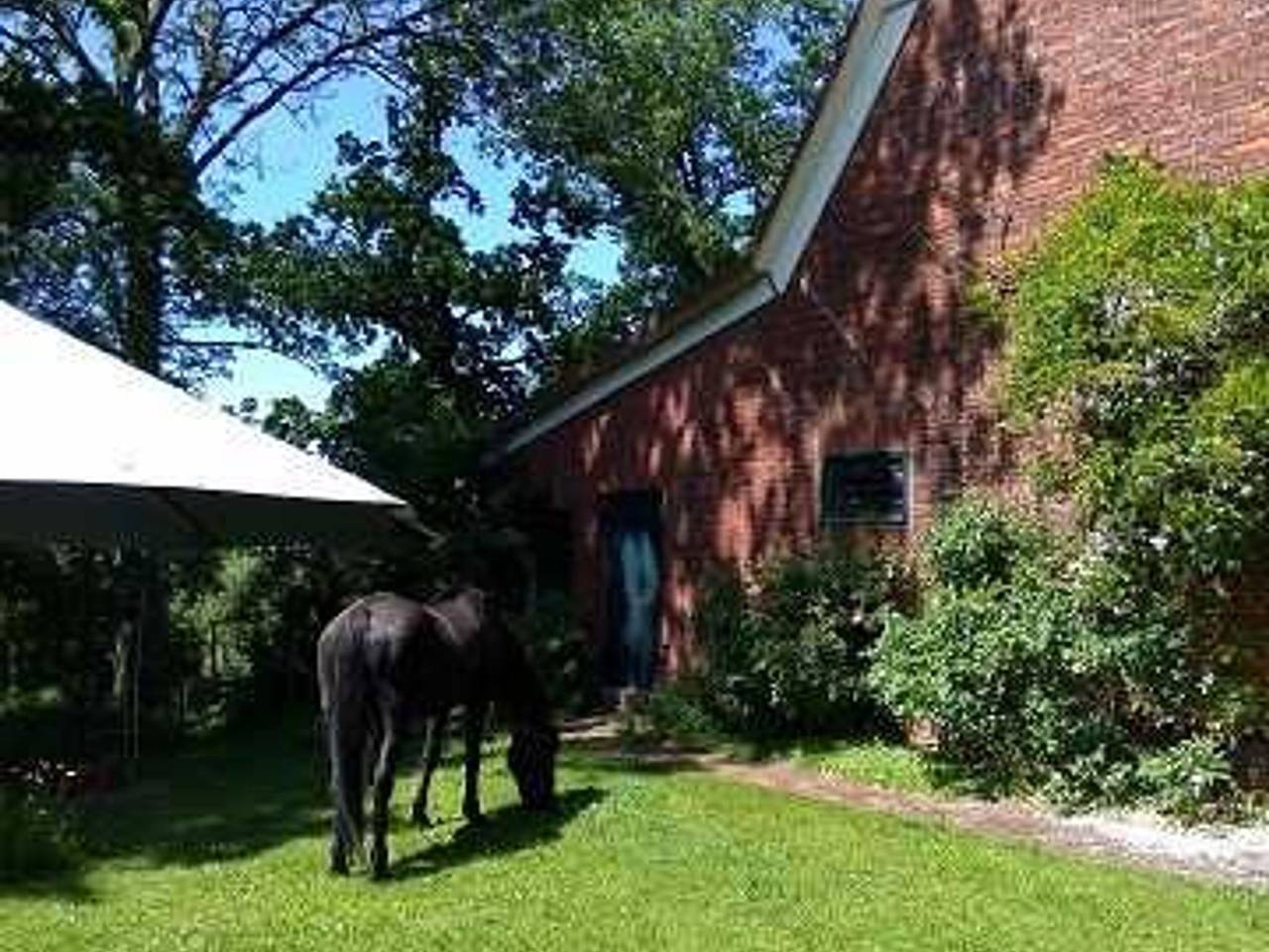 Ganze Ferienwohnung, Ferienwohnung unterm Reetdach - Ferienwohnung 1 in Stade, Cuxland