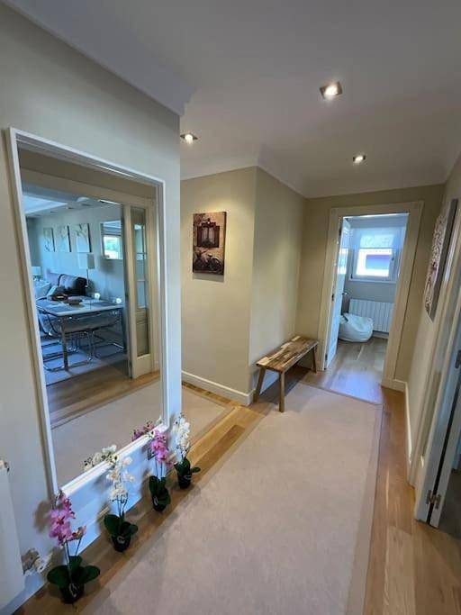 Gîte pour 4 personnes, avec terrasse et jacuzzi à Busturia - 2