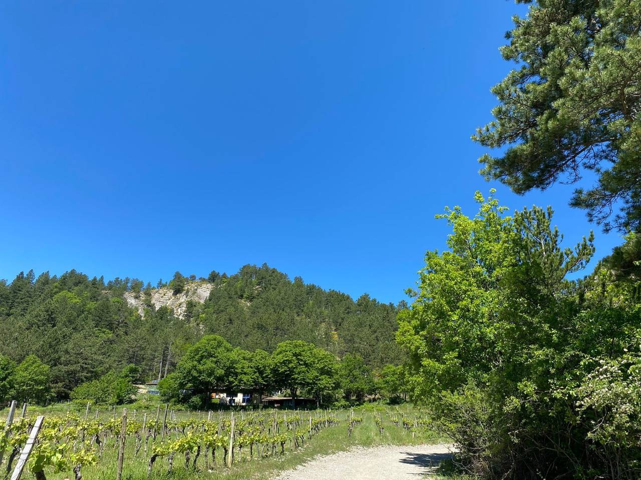 "La Bergerie" de La Beaume à Châtillon - Chambre bleue in Châtillon-en-Diois, Parc naturel régional du Vercors