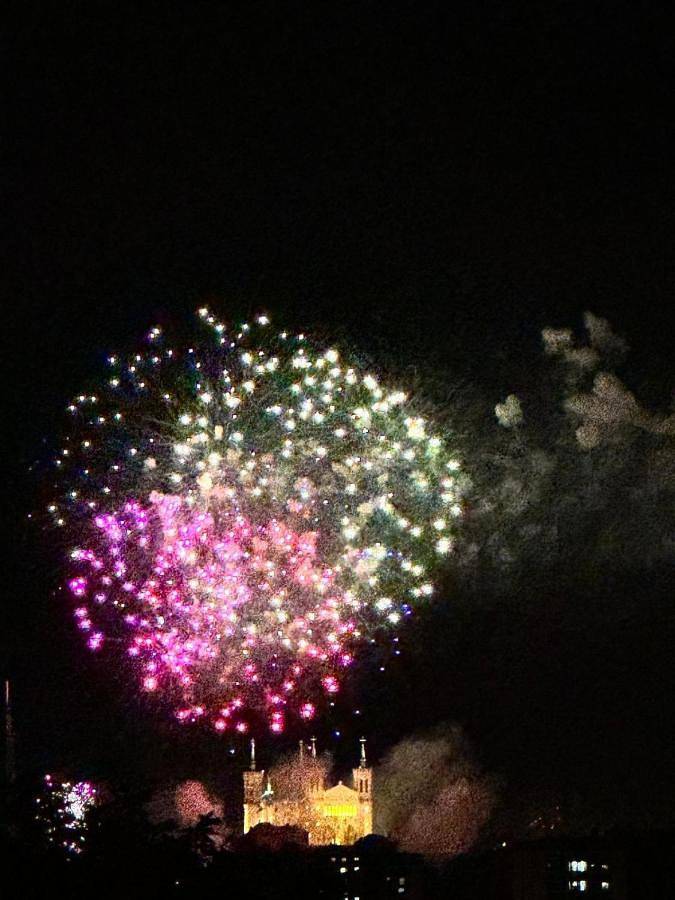 Gîte pour 6 personnes à Écully - 3