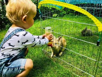 Ferienwohnung für 4 Personen in Heiligenblut, Bezirk Spittal an der Drau, Bild 2