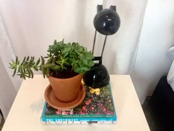 Vacation House for 6 Guests in West Seattle, Seattle, Picture 2