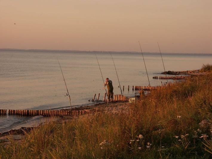 Ferienwohnung für 5 Personen, mit Ausblick und Garten sowie Balkon in Maasholm - 3
