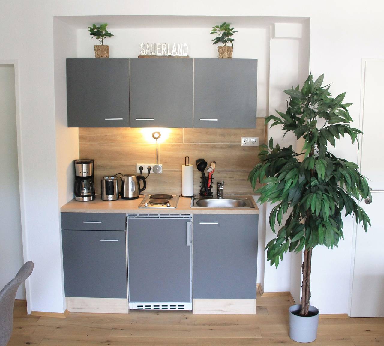 Ganze Ferienwohnung, Ferienwohnung  Sonnenblick Willingen in Stryck, Willingen