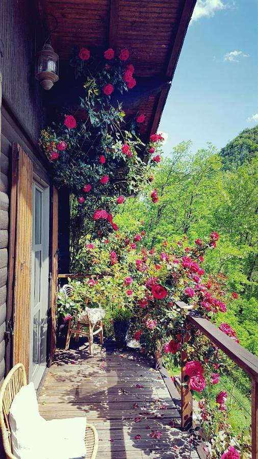 Location de vacances pour 2 personnes, avec sauna ainsi que balcon et vue à Biert - 3