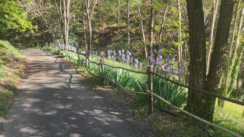 Gîte pour 2 personnes, avec terrasse ainsi que jardin et vue à Viviez - 2