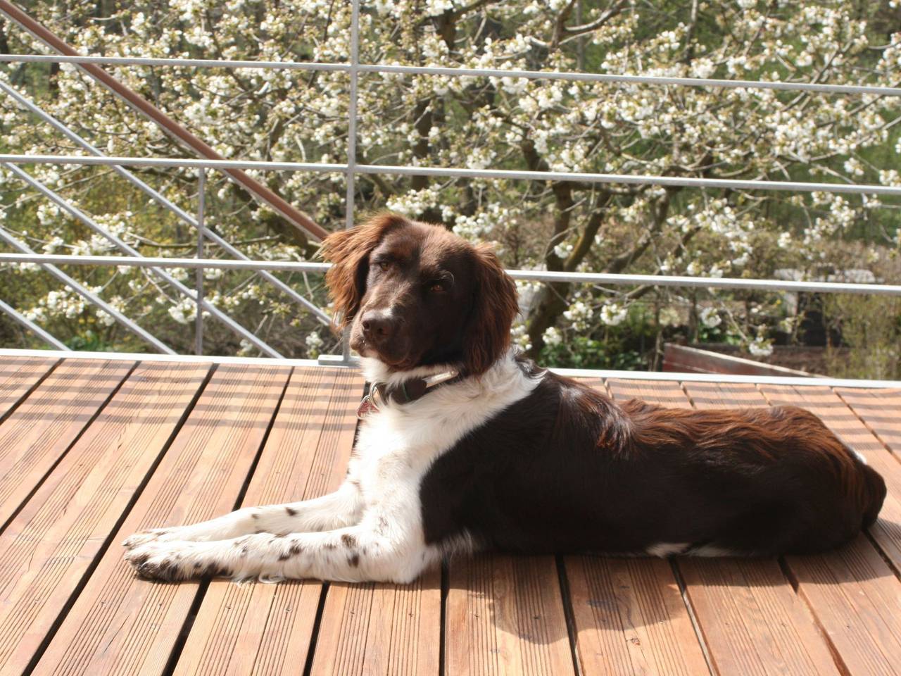 Grete, foto 11