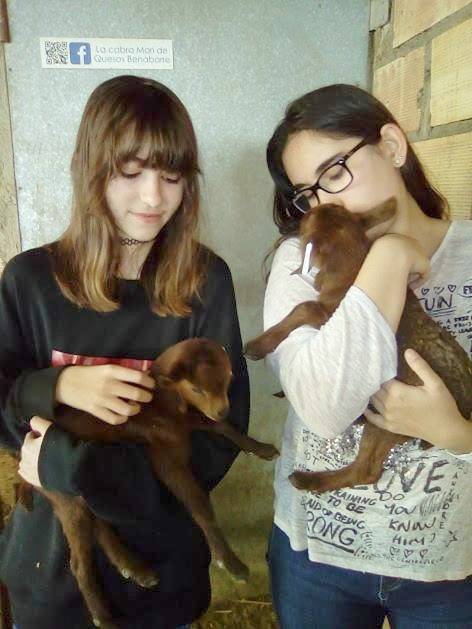 Casa rural para 3 personas, con jardín, Familias con niños en Provincia de Huesca - 3