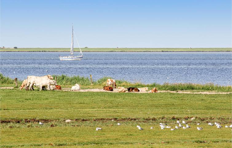 Ferienwohnung für 4 Personen, mit Garten und Terrasse in Olpenitz - 2