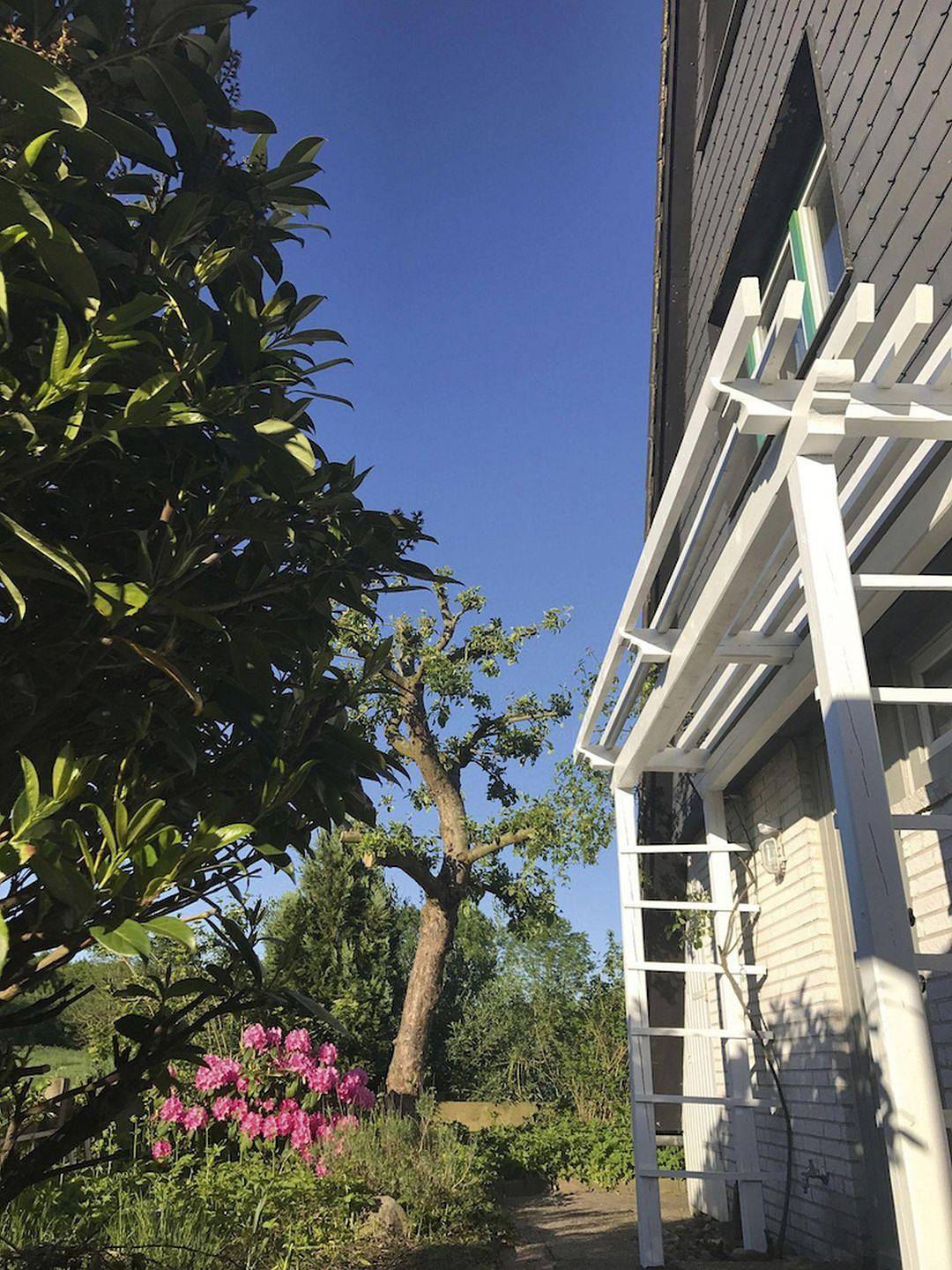 Ferienhaus "Luft Pur Ort" in Kappeln in Rückeberg, Kappeln