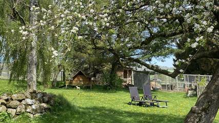 Bauernhof für 3 Personen in Ehrenberg, Rhön-Hessen, Bild 2