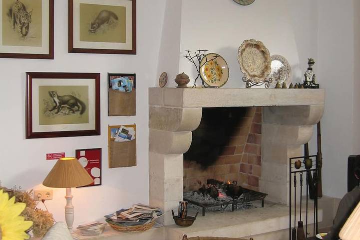 Gîte pour 15 personnes, avec jardin, animaux acceptés dans Torres Novas - 4