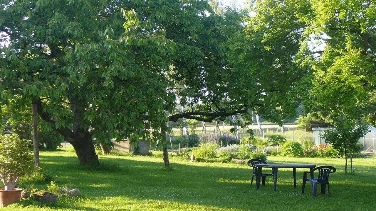 Ferienhaus für 4 Personen (65 m²) in Torgelow Am See in Torgelow am See, Müritz