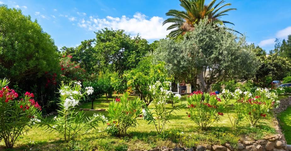 Appartement entier, Cozy studio à Calenzana, 30 m² avec terrasse in Calenzana, Région de Calvi