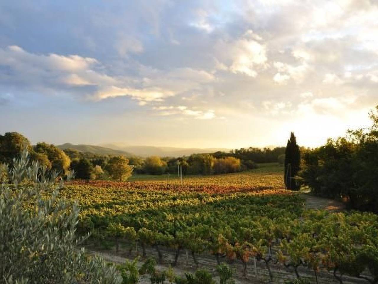 "Haus der Olivenbäume" in Puyméras, Parc naturel régional du Mont-Ventoux