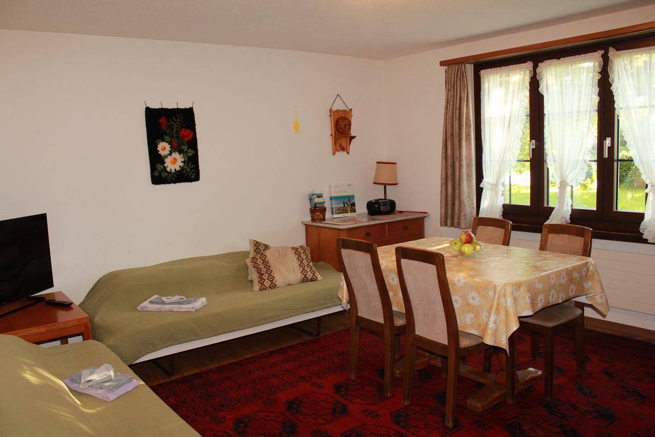 Ganze Ferienwohnung, Feierlenhof, 2-Zimmerwohnung Granny, Parterre in Obersee (Bodensee)