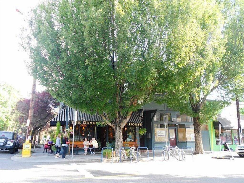 Ganze Wohnung, Großartige Nw-Lage! Gratis Parkplätze! Neuere Eigentumswohnung in Portland, Multnomah County