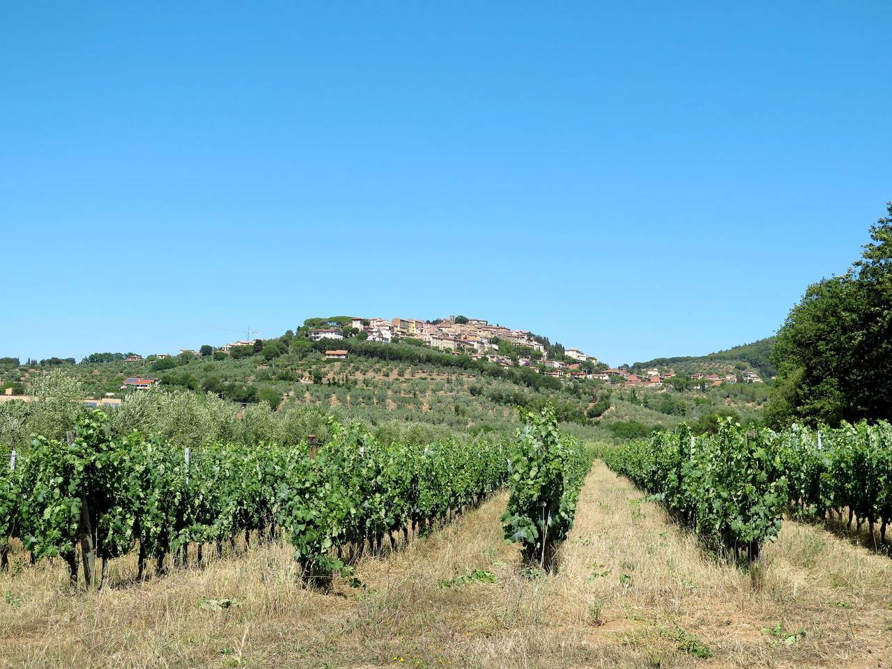 Apartamento entero, Castagneto Carducci 50 - Casa Del Pozzo 50.1 in Donoratico, Costa Etrusca