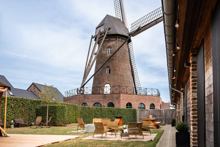 Maison de vacances pour 18 personnes, avec Balcon/Terrasse ainsi que Terrasse et Jardin à Dilsen-Stokkem