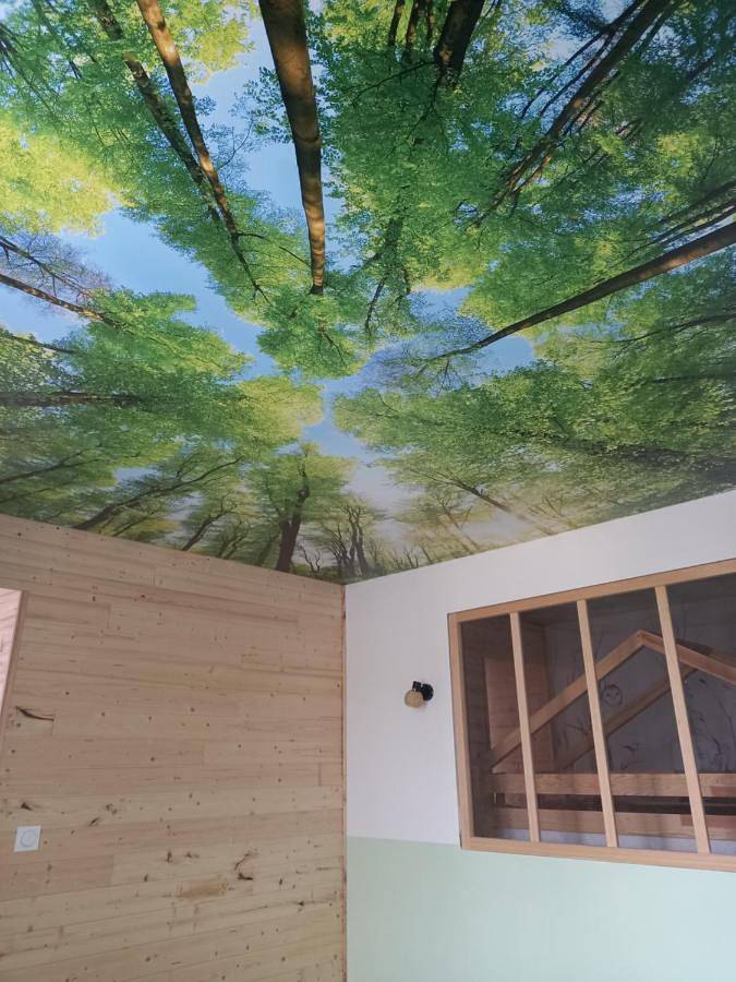 Gîte pour 2 personnes, avec jacuzzi à Fougerolles - 4