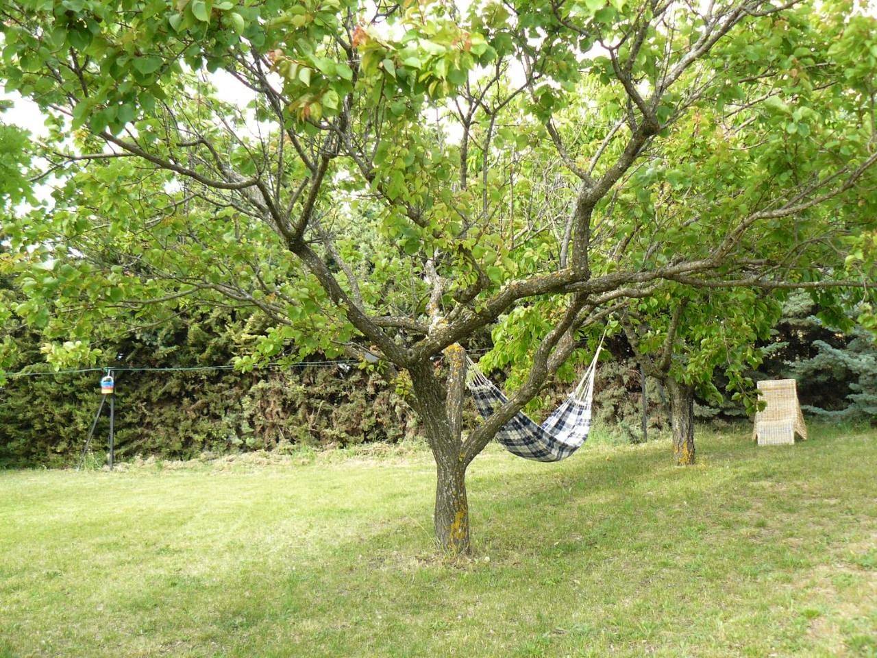 B&B La Grande Dame in Valensole, Alpes-de-Haute-Provence