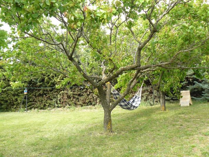 Chambre d’hôte pour 2 personnes, avec piscine ainsi que jardin et jacuzzi à Valensole - 2