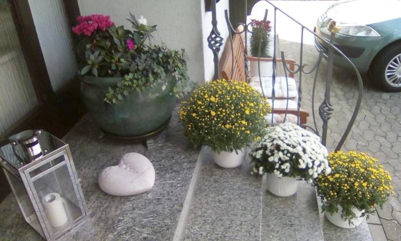 Location de vacances pour 2 personnes, avec terrasse et jardin à Ernst - 2