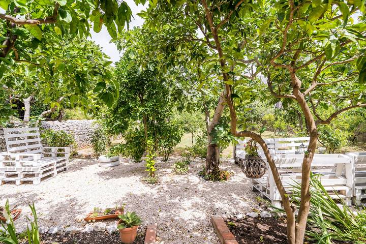 Apartamento entero, Apartments Davor in Slano, Condado de Dubrovnik-Neretva