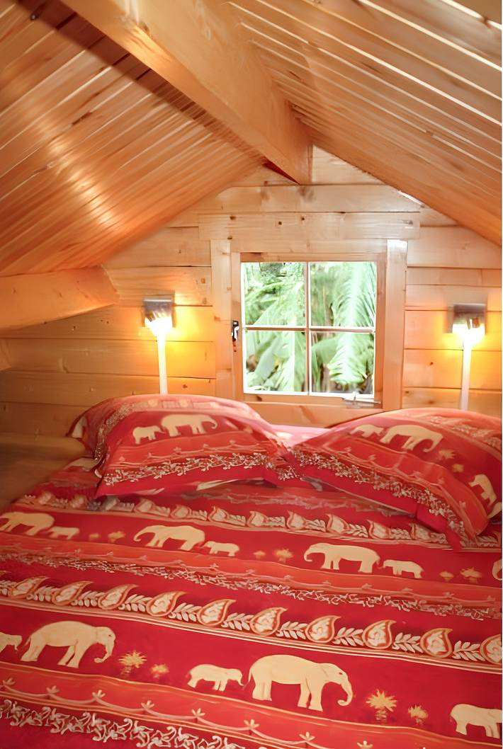 Location de vacances pour 6 personnes, avec piscine ainsi que terrasse et jardin dans Piton de la Fournaise - 4