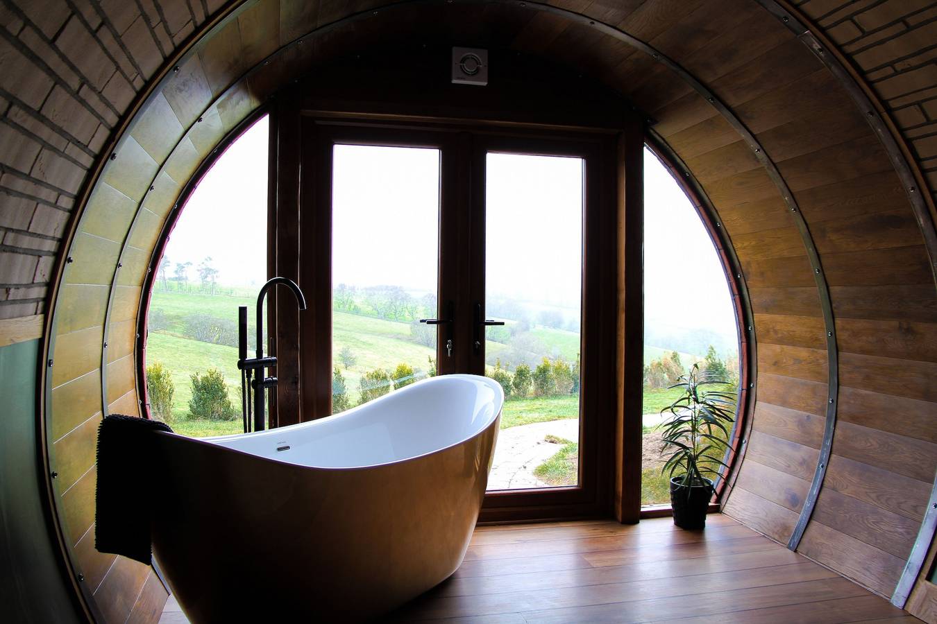 Hedgehogs View in Powys